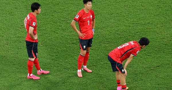 Nhà cái không chặn và nỗi đau World Cup của Hàn Quốc: Bài học cho người hâm mộ châu Á - hình ảnh - f168win.vip