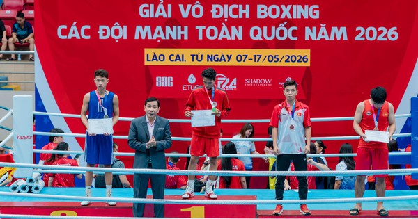 F168 cược bóng đá: Liên đoàn Quyền anh Việt Nam bị tố bầu cử sai quy định - hình ảnh - f168win.vip F168 cược bóng đá: Liên đoàn Quyền anh Việt Nam bị tố bầu cử sai quy định - hình ảnh - f168win.vip