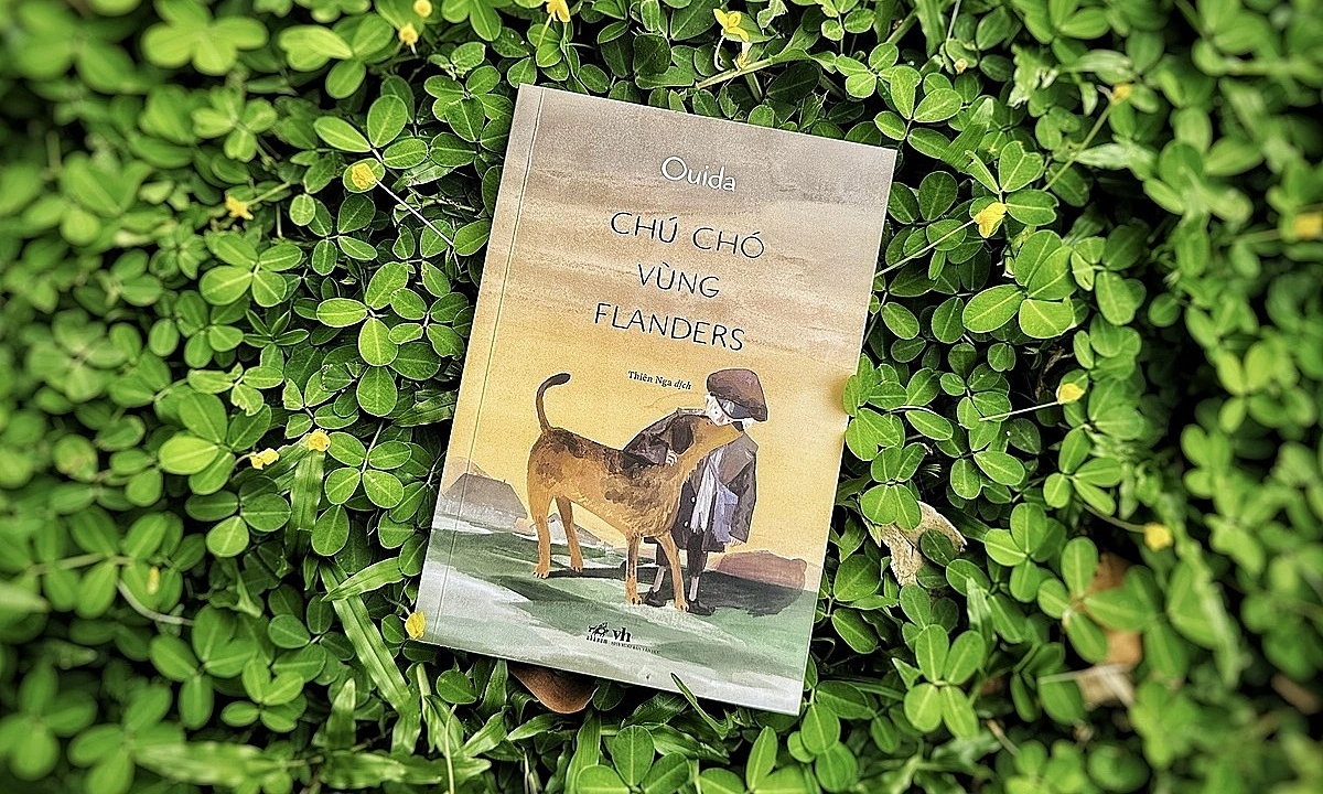‘Chú chó vùng Flanders’ hồn nhiên vượt nghịch cảnh - hình ảnh - f168win.vip ‘Chú chó vùng Flanders’ hồn nhiên vượt nghịch cảnh - hình ảnh - f168win.vip