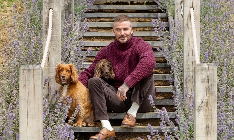 F168 casino và phong cách thời thượng ‘giàu ngầm’ của David Beckham - hình ảnh - f168win.vip F168 casino và phong cách thời thượng ‘giàu ngầm’ của David Beckham - hình ảnh - f168win.vip